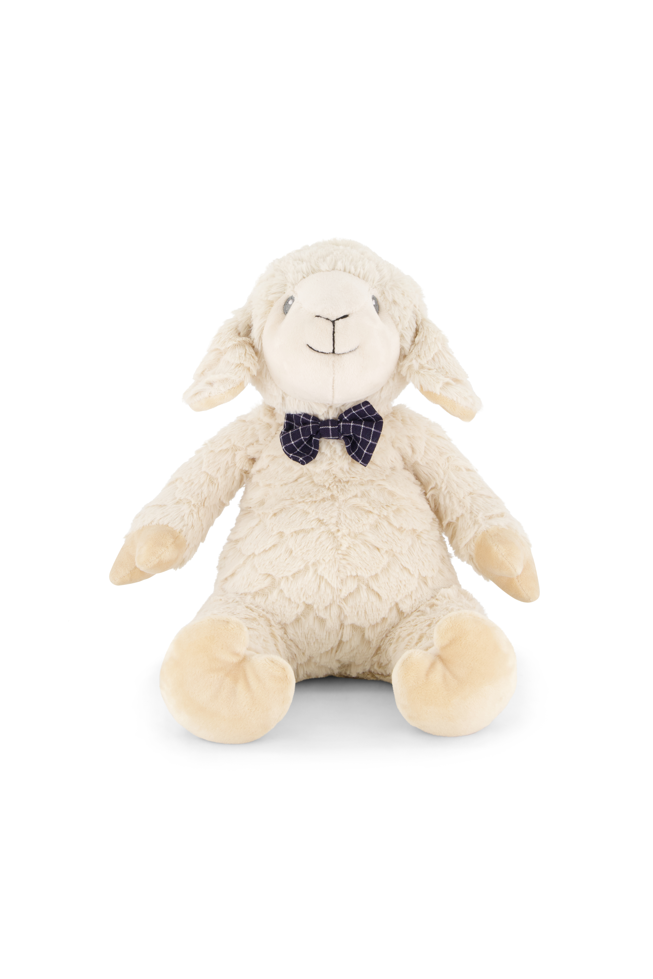Liam the Lamb