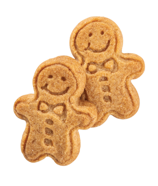 Gingerbread Mini People