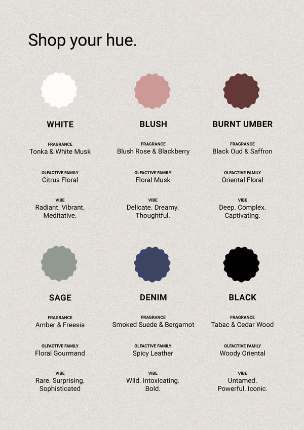 Smith & Co Hand Body Wash Refill Black Oud & Saffron