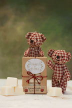 Spiced Apple Soy Wax Melts