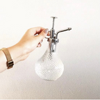 Plant Mister Hobnail Glass