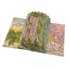 Rijksmuseum Maria Sibylla Merian Gift Wrap Book
