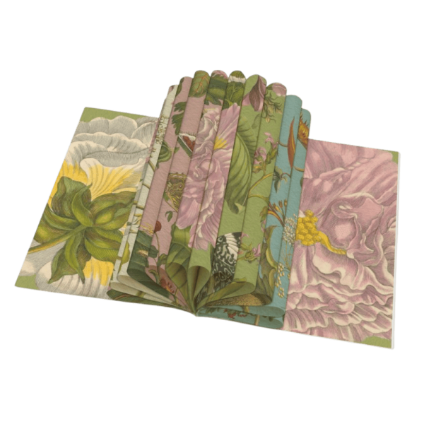 Rijksmuseum Maria Sibylla Merian Gift Wrap Book