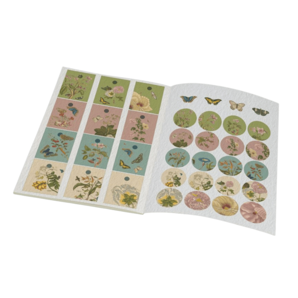 Rijksmuseum Maria Sibylla Merian Gift Wrap Book