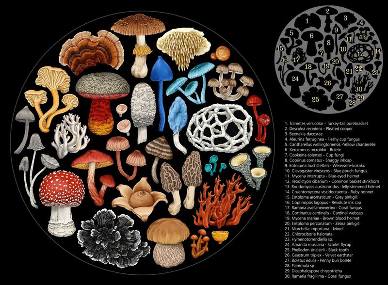 Fungi 1000pce Round Puzzle