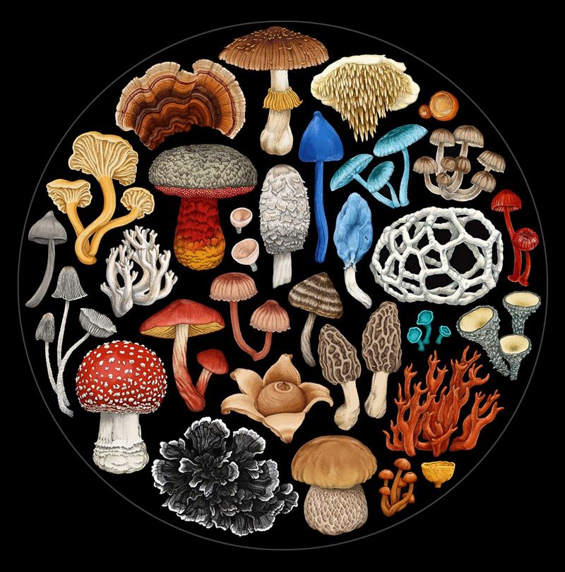 Fungi 1000pce Round Puzzle