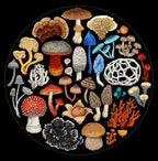 Fungi 1000pce Round Puzzle