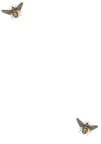 Bee Pattern Writing Set