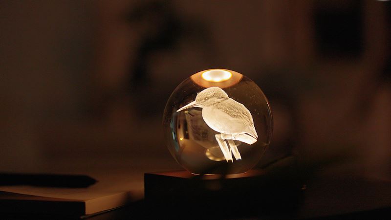 Kingfisher 3D Laser Engraved Light