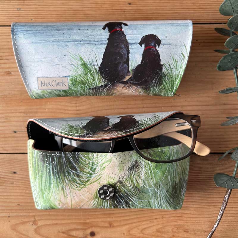 Dunes Glasses Case