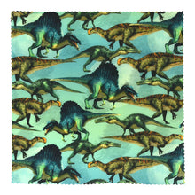 Load image into Gallery viewer, Walk the Dinosaurs Large Beeswax Wraps