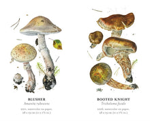 Load image into Gallery viewer, Mushroom Memory Game
