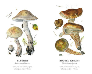 Mushroom Memory Game