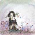 Spaniel and Flowers Coaster