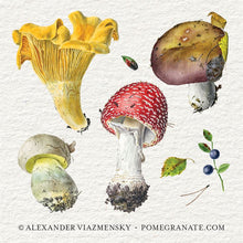 Load image into Gallery viewer, Mushroom Memory Game