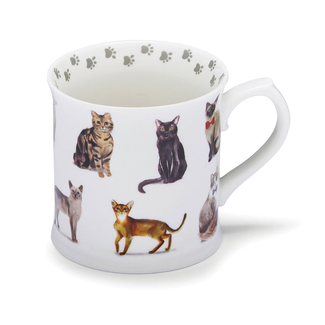 Curious Cat Tankard Mug