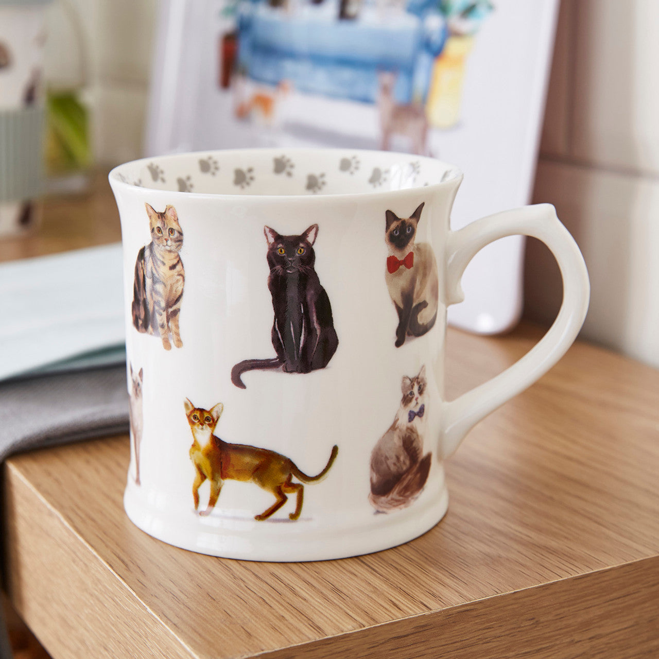 Curious Cat Tankard Mug