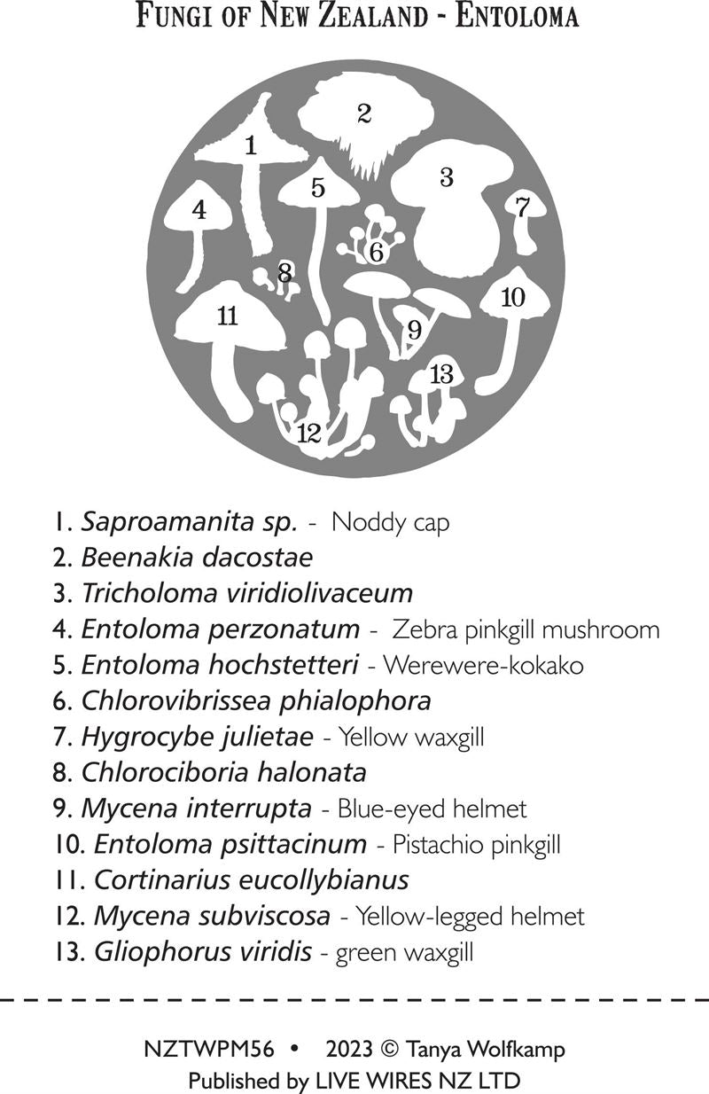 NZ Fungi Entoloma Placemat