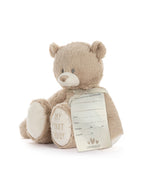 My First Teddy Tan 24cm