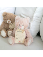 My First Teddy Pink 24cm