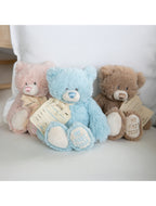 My First Teddy Blue 24cm