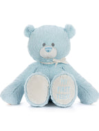 My First Teddy Blue 24cm