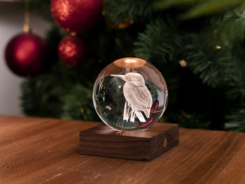 Kingfisher 3D Laser Engraved Light