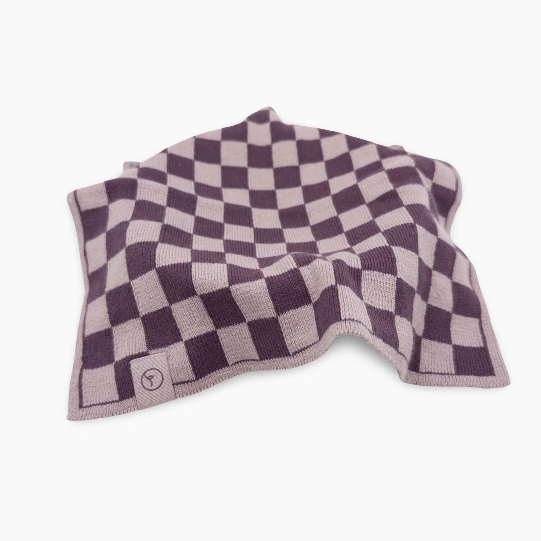 Ecovask Multi Cloth 2pack Grape Orchid Chequer