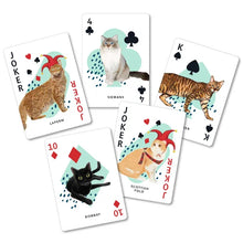 Load image into Gallery viewer, Casino Playing Cards Curious Cats