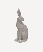 Load image into Gallery viewer, Harold the Hare Turning Grey