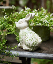 Load image into Gallery viewer, Botanical Bunny Decor