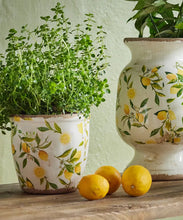 Load image into Gallery viewer, Botanical Lemon Pot Large
