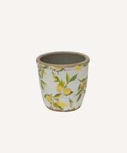 Load image into Gallery viewer, Botanical Lemon Pot Small
