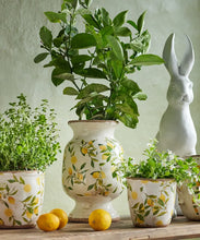 Load image into Gallery viewer, Botanical Lemon Urn