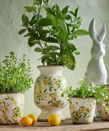 Botanical Lemon Urn
