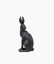 Load image into Gallery viewer, Harold the Hare Turning Black