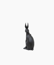 Load image into Gallery viewer, Harold the Hare Turning Black