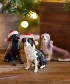 Sheep Dog with Santa Hat