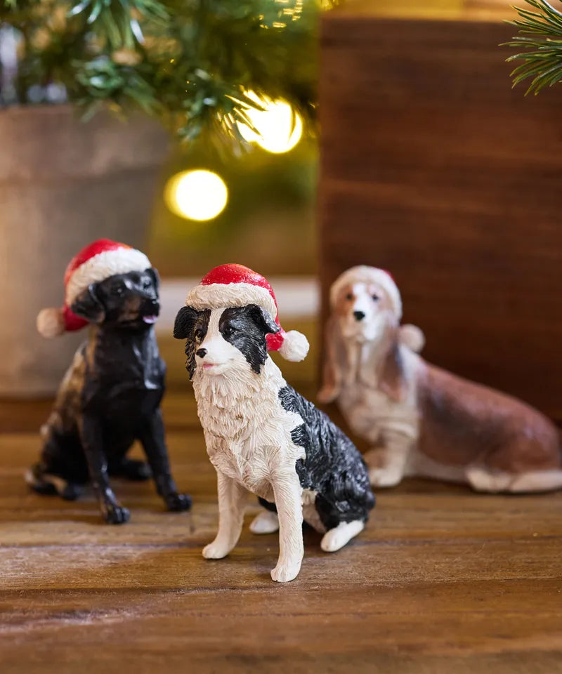 Sheep Dog with Santa Hat