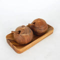 Teak Salt & Pepper Container Set of 2