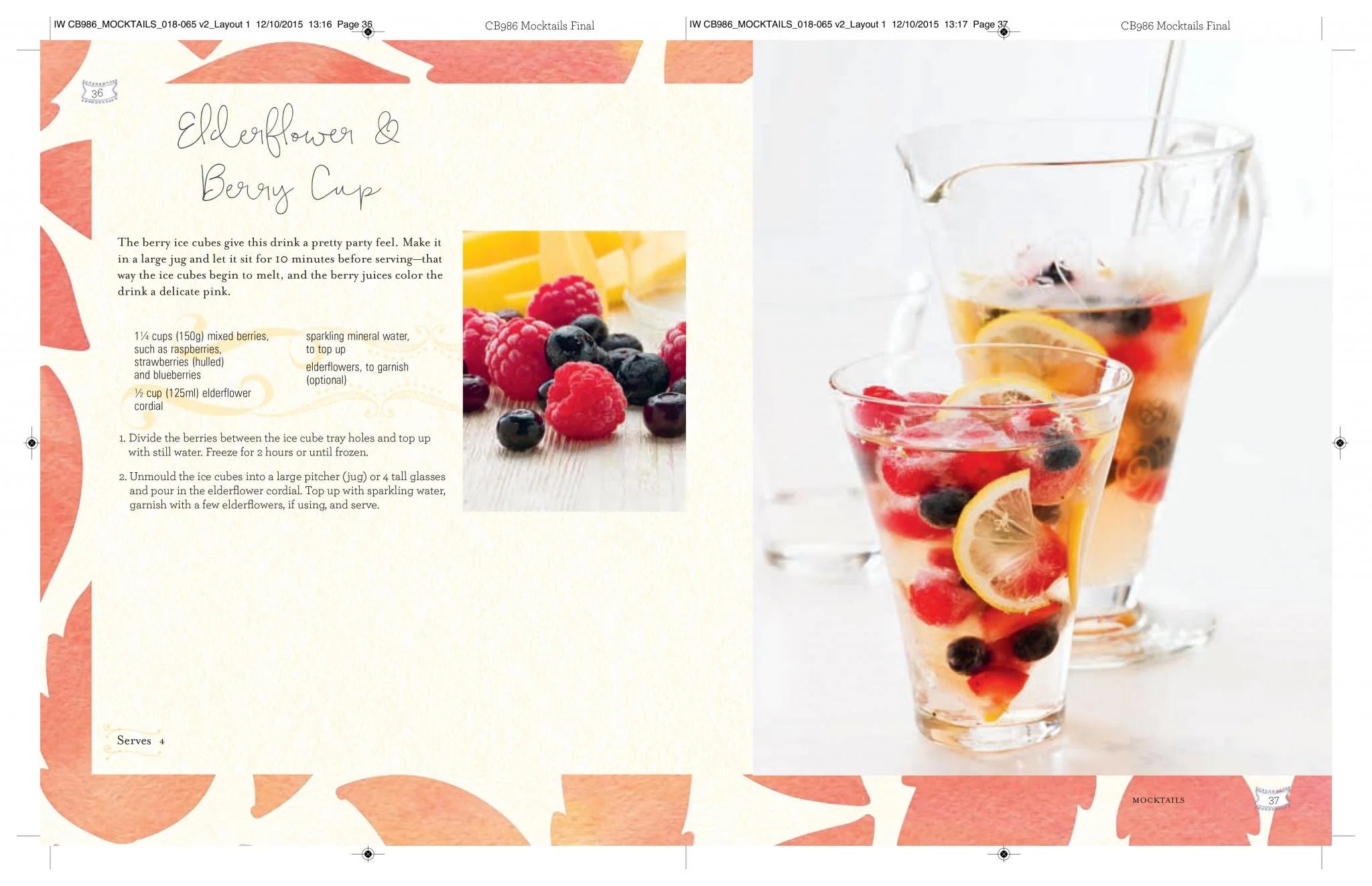 Mocktails, Cordials, Infusions, Syrups & More