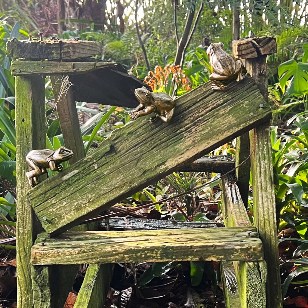 Frog Hanging Rim III Gold