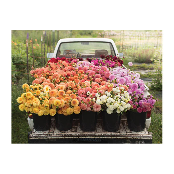Floret Farms Cut Flower Garden 2 sided 500p Puzzle