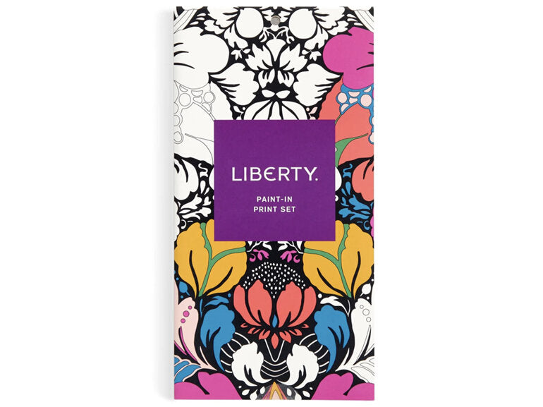 Liberty Paint N Print Set