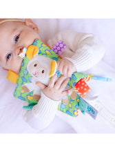 Load image into Gallery viewer, Taggies Sherbert Lamb Crinkle