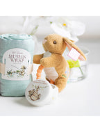 Taggies Harmony Bunny Teether