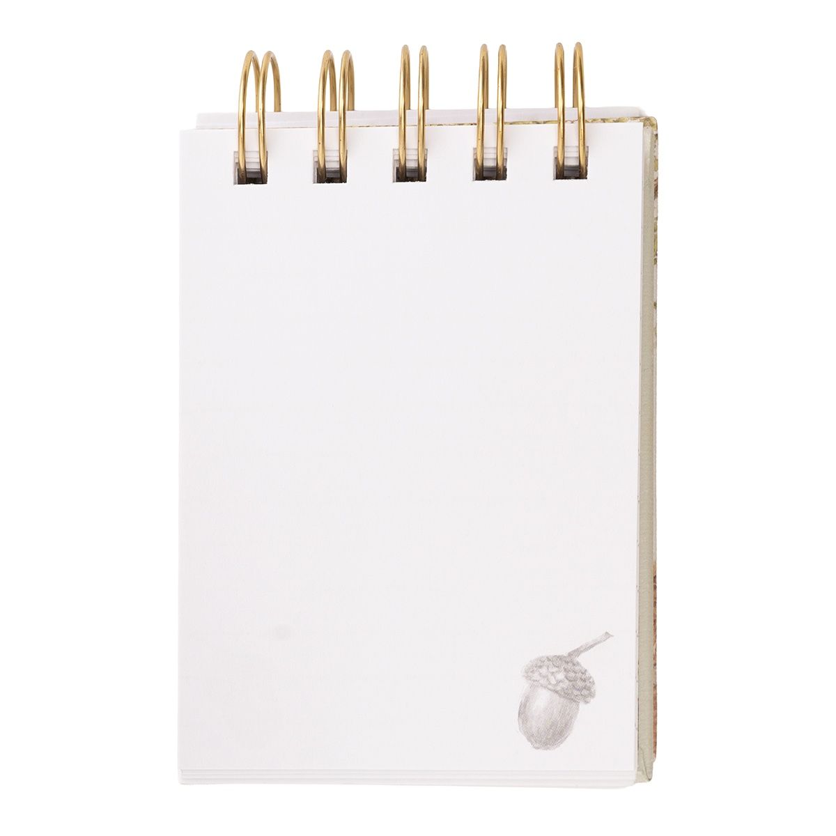 Wrendale Nature Woodland Field Notebook