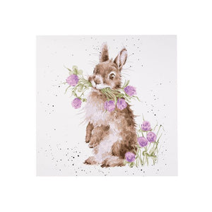 Wren Bunny Paint By Numbers