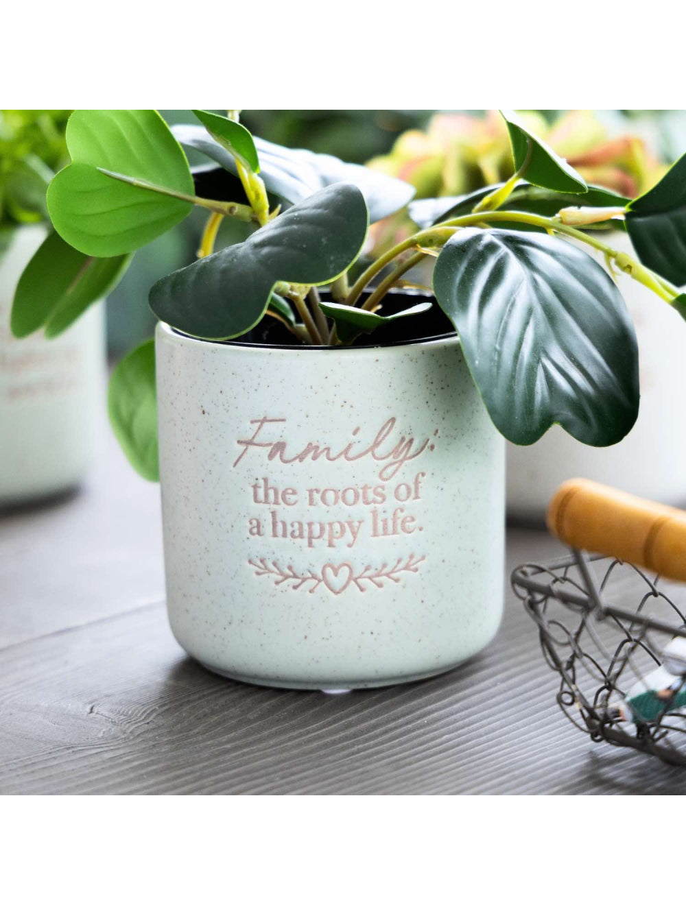 Posative Pot Family Positive Pot – I'Adore Homewares and Gifts + I'Adore Natural