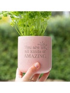 Amazing Positive Pot